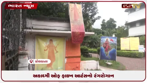 VIDEO: અકાદમી ઓફ ફાઇન આર્ટસનો રંગરોગાન