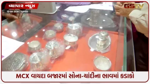 VIDEO: MCX વાયદા બજારમાં સોના-ચાંદીના ભાવમાં કડાકો; ચાંદી ₹2,336 ઘટી, સોનું ₹1.53 લાખના સ્તરે પહોંચ્યું