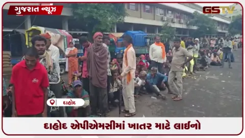VIDEO: યુરિયા ખાતરની અછતને કારણે દાહોદમાં મોડી રાતથી કતારો લગાવી રહ્યા છે ખેડૂતો