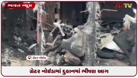 VIDEO: ગ્રેટર નોઈડામાં દુકાનમાં ભીષણ આગ
