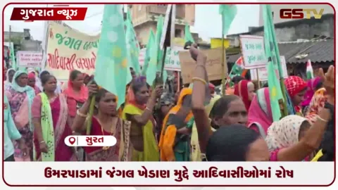VIDEO: ઉમરપાડામાં જંગલ ખેડાણ મુદ્દે આદિવાસીઓમાં રોષ
