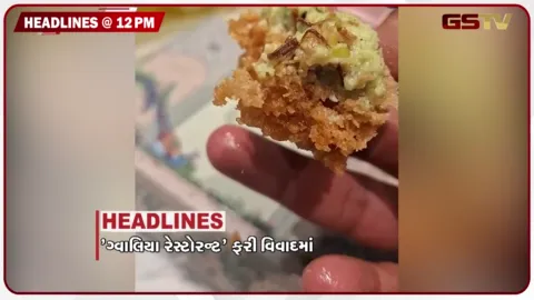 VIDEO: HEADLINE_12.00_PM/ ગ્વાલિયા રેસ્ટોરેન્ટ ફરી આવી વિવાદમાં, ધાર્મિક કાર્યક્રમમાં અશ્લીલ હરકત, ગેરકાયદે પેટ્રોલ વેચવાનો પર્દાફાસ