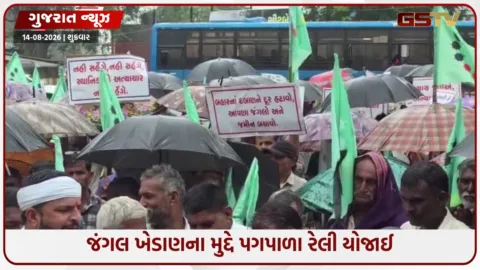 VIDEO: ઉમરપાડા તાલુકામાં જંગલ ખેડાણના મુદ્દે સ્થાનિક આદિવાસીઓમાં ભારે રોષ, સાગબારાના ખેડૂતો પર કર્યા ગંભીર આક્ષેપ