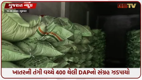 VIDEO: દેવગઢ બારિયામાં ખાતરની અછત વચ્ચે 400 થેલી DAPનો જથ્થો જપ્ત, ગોડાઉનને કરાયું સીલ