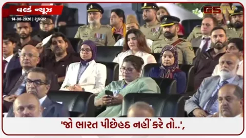 VIDEO: પાકિસ્તાનના PM શાહબાઝે આપી યુદ્ધ છેડવાની ધમકી, આઝાદીની ઉજવણીમાં ભૂલી ગયા 'ઓપરેશન સિંદૂર'નો ઘા