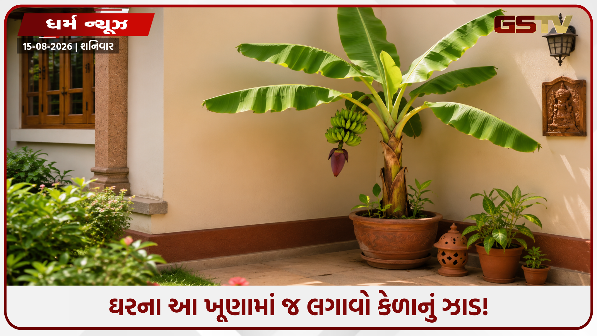 કેળાના ઝાડ માટે વાસ્તુ નિયમો! જાણો કેળાના ઝાડનું વિશેષ મહત્વ