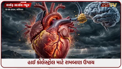 VIDEO: નસોમાં જમા થયેલું બેડ કોલેસ્ટ્રોલ મીણની જેમ ઓગળી જશે! આજે જ ડાયટમાં સામેલ કરો આ વસ્તુઓ