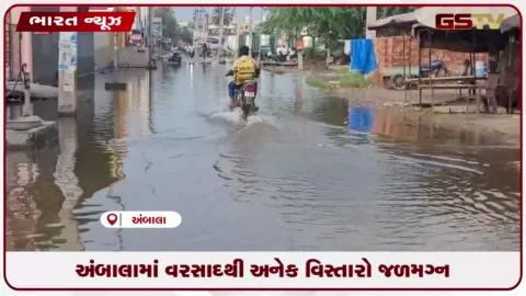 VIDEO: અંબાલામાં વરસાદથી અનેક વિસ્તારો જળમગ્ન