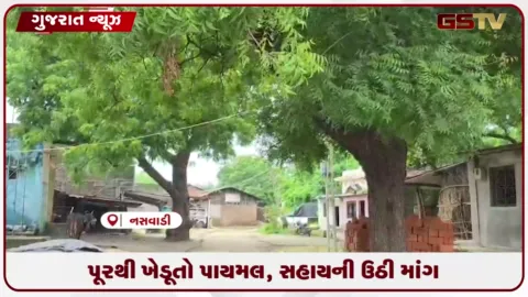 VIDEO: નસવાડીના ચોરામલ ગામે પૂરથી ખેડૂતો પાયમાલ, સર્વેની રાહ જોતા રોષ