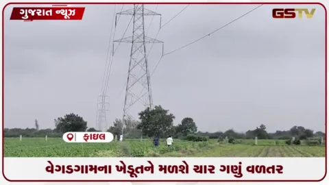 VIDEO: વેગડવાવ ગામના ખેડૂતોને અગાઉની સરખામણીએ મળશે ચાર ગણું વળતર: કલેક્ટર