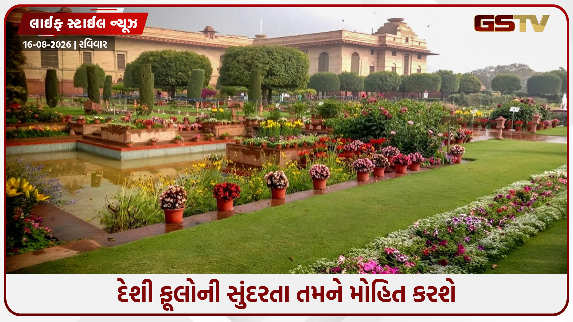 એક મહિના માટે ખુલ્યું રાષ્ટ્રપતિ ભવનનું સુંદર અમૃત ઉદ્યાન, જાણો કેવી રીતે બુક કરી શકો છો ટિકિટ