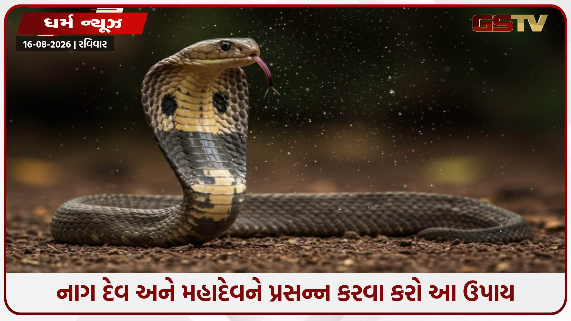 નાગપંચમી પર, તમારા ઘરમાં વારંવાર આવતા સાપો અથવા કાલસર્પ દોષથી છુટકારો મેળવવા કરો આ ઉપાય