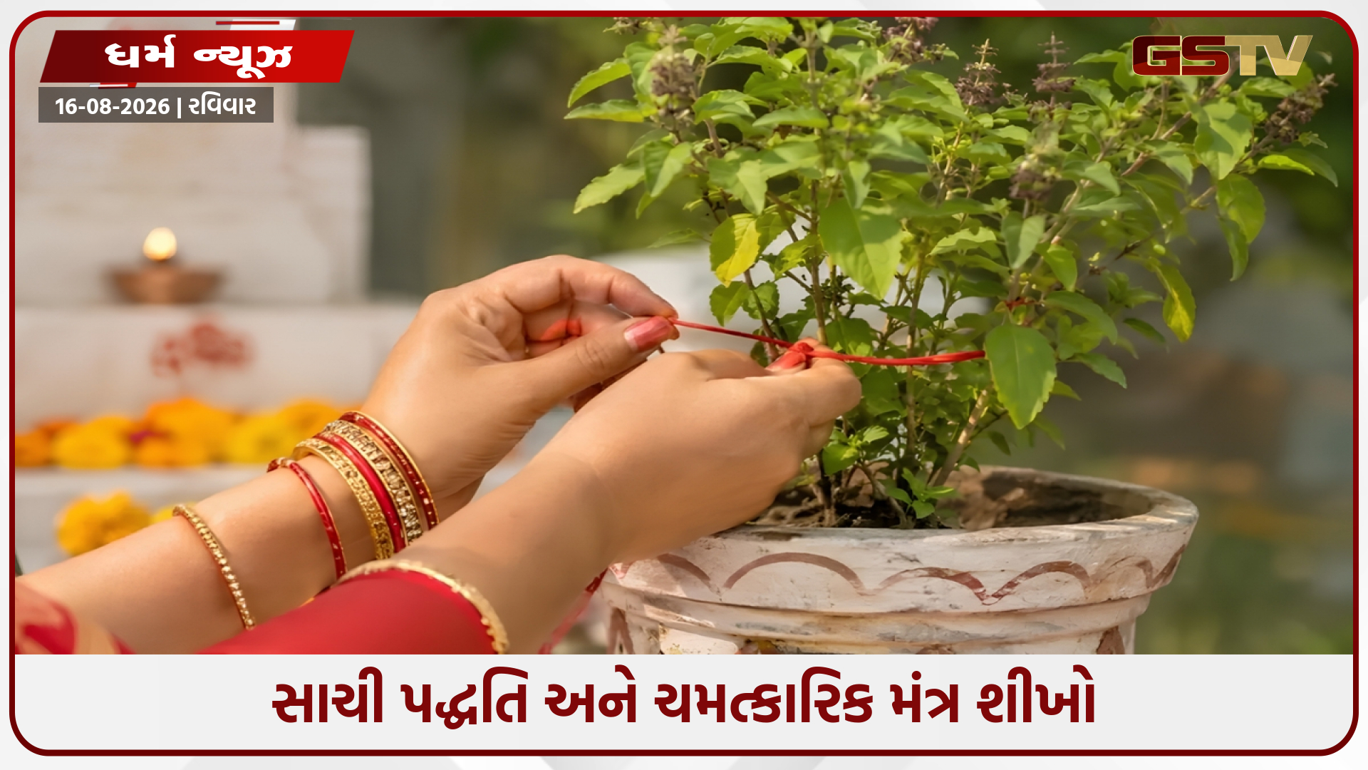 આ શુભ દિવસે તુલસીના છોડ પર બાંધો લાલ પવિત્ર દોરો, દેવી લક્ષ્મી તમારા ઘર તરફ આકર્ષિત થશે!