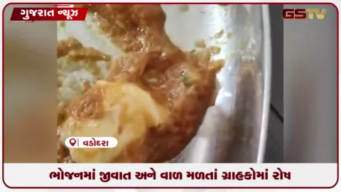 VIDEO: વડોદરાના ડભોઇ રોડના ઢાબામાં દાળમાંથી મકોડો, પનીરના શાકમાં વાળ મળતાં હોબાળો