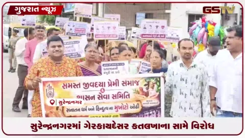 VIDEO: સુરેન્દ્રનગરમાં ગેરકાયદેસર કતલખાના સામે જૈન સંગઠનો અને કરણીસેના સહિતના 20થી વધુ સંગઠનો દ્વારા વિરોધ રેલી યોજી કલેક્ટરને કરાઈ રજૂઆત