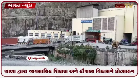 VIDEO: શાળા દ્વારા વ્યવસાયિક શિક્ષણ અને કૌશલ્ય વિકાસને પ્રોત્સાહન