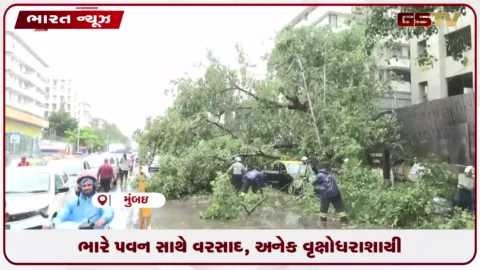 VIDEO: મુંબઈમાં ચર્ચગેટ પાસે વૃક્ષ પડતાં બે ટેક્સી ક્ષતિગ્રસ્ત, એક કારચાલક ઇજાગ્રસ્ત