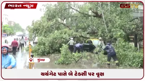 VIDEO: ચર્ચગેટ પાસે બે ટેક્સી પર વૃક્ષ