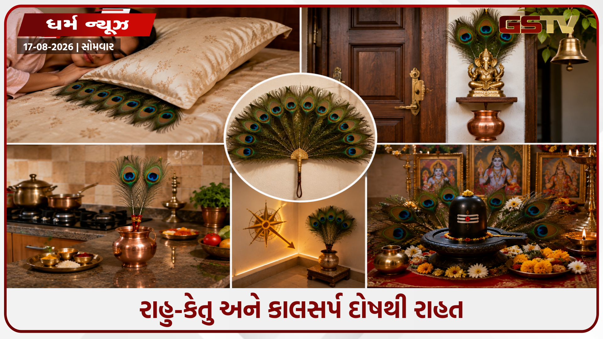 શું મોર પીંછા તમને રાહુ અને કેતુના અશુભ પ્રભાવથી બચાવશે? જાણો તમારા ઘરમાં તેને રાખવાની યોગ્ય દિશા અને નિયમો