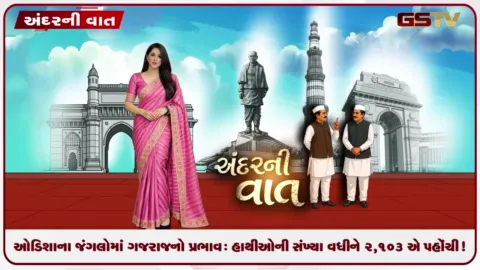 VIDEO: ANDARNI VAAT / ઓડિશાના જંગલોમાં ગજરાજનો પ્રભાવ: હાથીઓની સંખ્યા વધીને ૨,૧૦૩ એ પહોંચી!