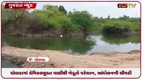 VIDEO: ધોળકામાં કેમિકલયુક્ત પાણીથી ખેડૂતો પરેશાન, આંદોલનની ચીમકી