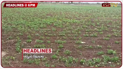 VIDEO: HEADLINE 06.00 PM / ભાજપ સંગઠનમાં ધરમૂળથી મોટો ફેરફાર, દેવભૂમિ દ્વારકામાં પૂરતો વરસાદ ન પડતાં ખેડૂતોમાં ચિંતા