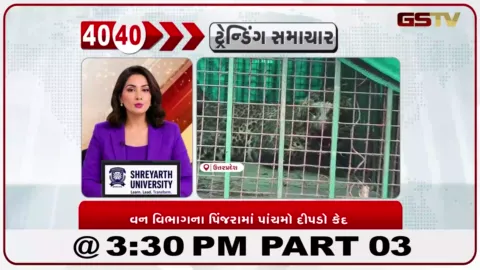 VIDEO: મુરાદાબાદમાં દહેશત ફેલાવતા વધુ એક દીપડાને વન વિભાગે પાંજરે પૂર્યો