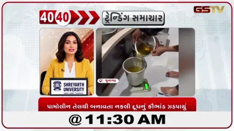 VIDEO: જૂનાગઢમાં નકલી દૂધનું કૌભાંડ ઝડપાયું, ઘરમાં જ કેમિકલથી દૂધ બનાવતો આરોપી પકડાયો