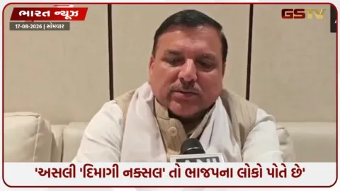 VIDEO: 'દેશમાં નફરત ફેલાવનારાઓ જ અસલી દિમાગી નક્સલ', આપ સાંસદ સંજય સિંહના ભાજપ પર આકરા પ્રહાર