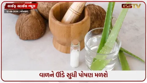 VIDEO: નરમ અને ચમકદાર વાળ માટે ઘરે આ કન્ડિશનર બનાવો, કોમ્બ કરવા પર નહીં તૂટે વાળ