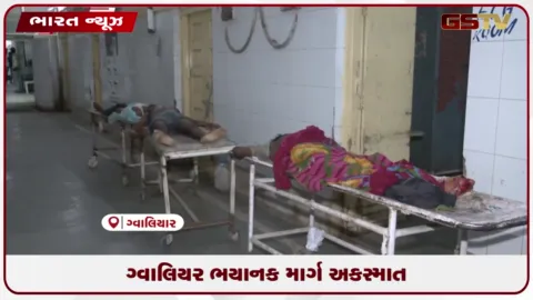 VIDEO: ગ્વાલિયર ભયાનક માર્ગ અકસ્માત