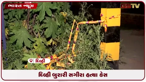 VIDEO: દિલ્હી બુરારી સગીરા હત્યા કેસ