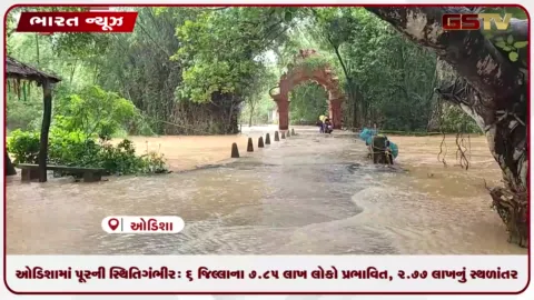 VIDEO: ઓડિશામાં પૂરની સ્થિતિ ગંભીર: 6 જિલ્લાના 1,304 ગામ જળમગ્ન બન્યા, 2.77 લાખનું સ્થળાંતર