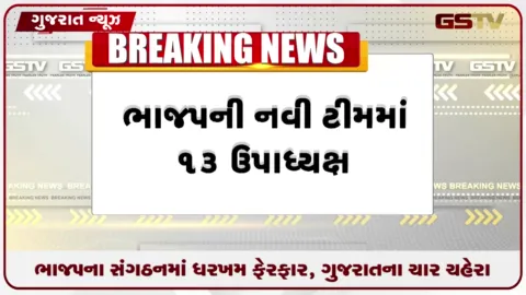 VIDEO: ભાજપના રાષ્ટ્રીય સંગઠનમાં ધરખમ ફેરફાર, અમિત માલવિયાની બાદબાકી, ગુજરાતના ચાર ચહેરા સામેલ