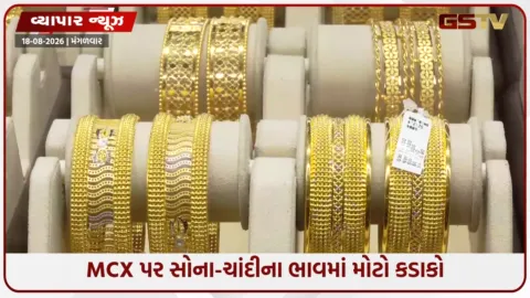VIDEO: MCX પર સોના-ચાંદીના ભાવમાં મોટો કડાકો; સોનું ₹1.55 લાખ અને ચાંદી તૂટીને ₹2.35 લાખના સ્તરે