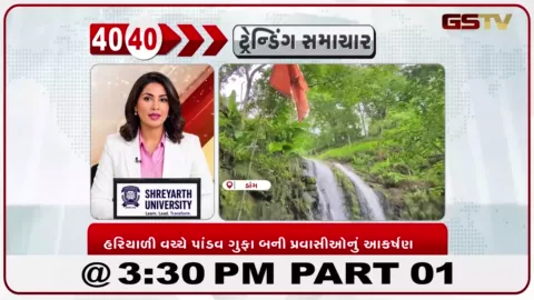 VIDEO: ચોમાસામાં સોળે કળાએ ખીલ્યું ડાંગ, પાંડવ ગુફા બની પ્રવાસીઓનું આકર્ષણ
