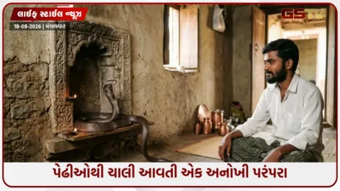 VIDEO: અહીં ઘરોમાં મુક્તપણે ફરે છે સાપ, જાણો કેમ આ ગામના લોકો ડરતા નથી?