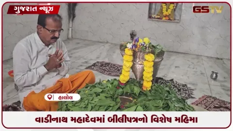 VIDEO: હાલોલના વાડીનાથ મહાદેવમાં શ્રાવણમાં બીલીપત્ર ચઢાવવાનો મહિમા