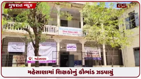 VIDEO: મહેસાણામાં ૧૪૨ શિક્ષકોનું બોગસ સીસીસી સર્ટિફિકેટ કૌભાંડ સામે આવતા શિક્ષણ આલમમાં સનસનાટી
