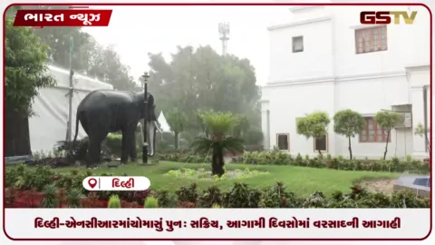 VIDEO: દિલ્હી-એનસીઆરમાં ચોમાસું પુનઃ સક્રિય, આગામી દિવસોમાં ગાજવીજ સાથે વરસાદની સંભાવના