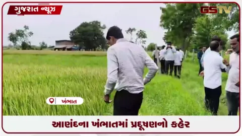 VIDEO: ખંભાતમાં ઔદ્યોગિક પ્રદૂષણથી ૭ પશુઓના મોત થતાં પશુપાલકોમાં ભારે રોષ