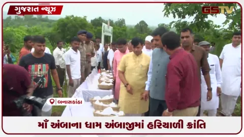 VIDEO: માઁ અંબાના ધામ અંબાજીમાં હરિયાળી ક્રાંતિ: 