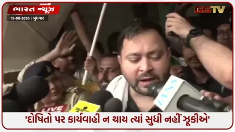 VIDEO: 