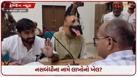 VIDEO: નસબંધી બાદ પણ 6 બચ્ચાં ! કલેક્ટર સમક્ષ કૂતરાનું માસ્ક પહેરી પહોંચ્યો ફરિયાદી, ₹40 લાખની ગેરરીતિનો આક્ષેપ