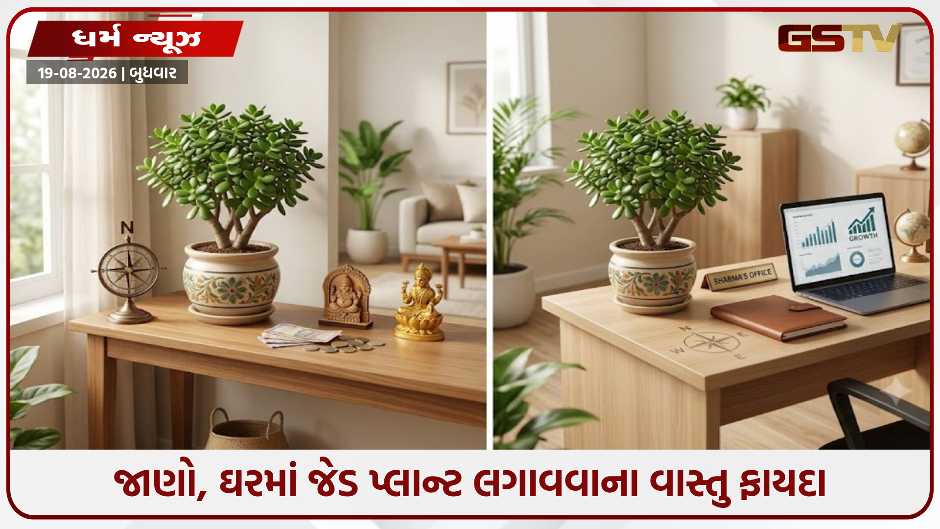 જાણો, ઘરમાં જેડ પ્લાન્ટ લગાવવાના વાસ્તુ ફાયદા અને સાચી દિશા