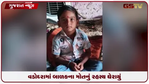 VIDEO: વડોદરાના સૂર્યનગર બાયપાસ પાસે ખાનગી બસના દરવાજામાં માથું ફસાતાં સાત વર્ષના બાળકનું મોત