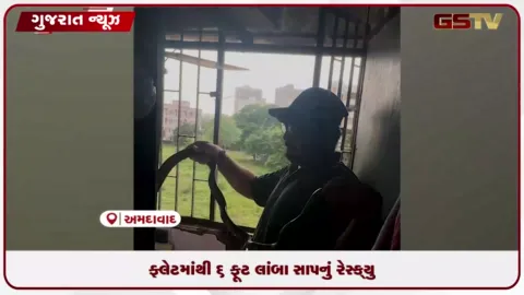 VIDEO: અમદાવાદમાં એક ફ્લેટમાંથી 6 ફૂટ લાંબા સાપનું રેસ્ક્યુ