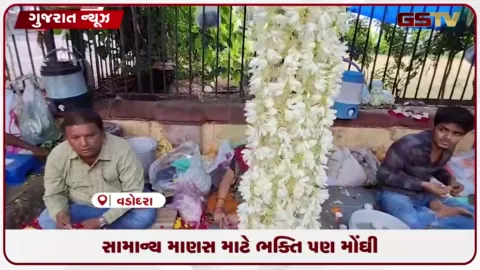 VIDEO: વડોદરાના ફૂલ બજારમાં તહેવારો સમયે ભાવ ભડકો, આવક ઘટતાં વેચાણમાં ૪૦%નો ઘટાડો