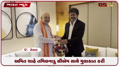 VIDEO: અમિત શાહે તમિલનાડુ સીએમ સાથે મુલાકાત કરી