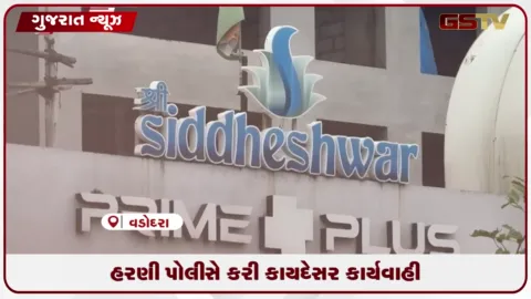 VIDEO: વડોદરામાં બુકિંગના નામે ઠગાઈ આચરનાર સિદ્ધેશ્વર ગ્રુપના પાનસુરિયા બંધુઓની ધરપકડ